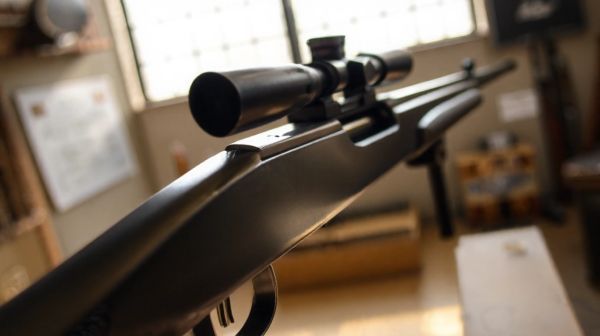 Guide d'achat des meilleures carabines 22 lr : innovations et conseils
